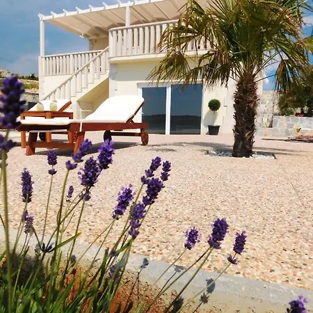 Villa Ostrica Velika *